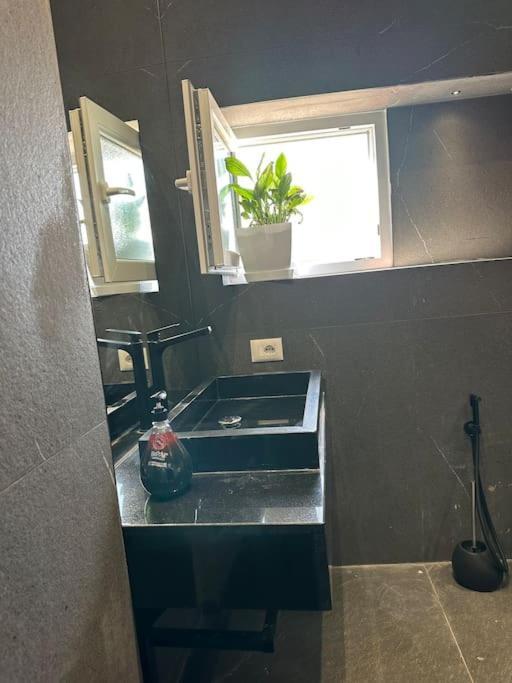 Green Apartment Тирана Екстер'єр фото